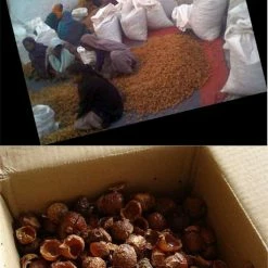 Beste deal π₯ Berivita Wasnoten 750gr Met Waszakje - Zeepnoten - Natuurlijk Wassen βοΈ 12 Beste deal π₯ Berivita Wasnoten 750gr Met Waszakje - Zeepnoten - Natuurlijk Wassen βοΈ -Bosch verkoop 528x840 1