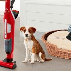 Kopen ❤️ Bosch ProAnimal Flexxo ZOO'O BBH3ZOO25 Serie 4 - Steelstofzuiger ⌛ -Bosch verkoop 550x309 54