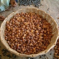 Beste deal π₯ Berivita Wasnoten 750gr Met Waszakje - Zeepnoten - Natuurlijk Wassen βοΈ 14 Beste deal π₯ Berivita Wasnoten 750gr Met Waszakje - Zeepnoten - Natuurlijk Wassen βοΈ -Bosch verkoop 550x412 66