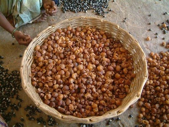 Beste deal π₯ Berivita Wasnoten 750gr Met Waszakje - Zeepnoten - Natuurlijk Wassen βοΈ 6 Beste deal π₯ Berivita Wasnoten 750gr Met Waszakje - Zeepnoten - Natuurlijk Wassen βοΈ - Afbeelding 6