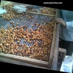 Beste deal π₯ Berivita Wasnoten 750gr Met Waszakje - Zeepnoten - Natuurlijk Wassen βοΈ 15 Beste deal π₯ Berivita Wasnoten 750gr Met Waszakje - Zeepnoten - Natuurlijk Wassen βοΈ -Bosch verkoop 550x446 2